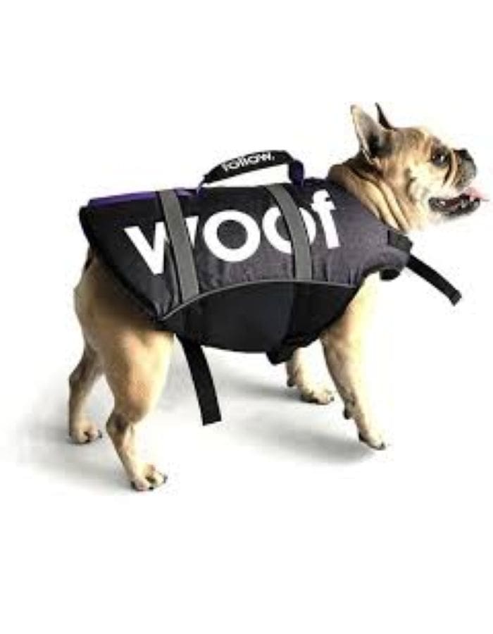 Follow Dog Floating Aid Black (M)